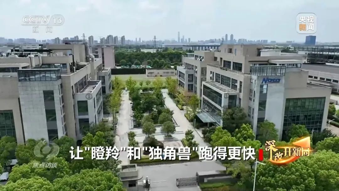 焦點訪談丨如何讓“瞪羚”和“獨角獸”跑得更快？